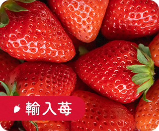 輸入苺